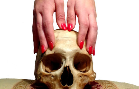 Schädel und Hände
