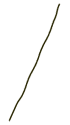 line4