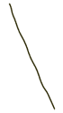 line5
